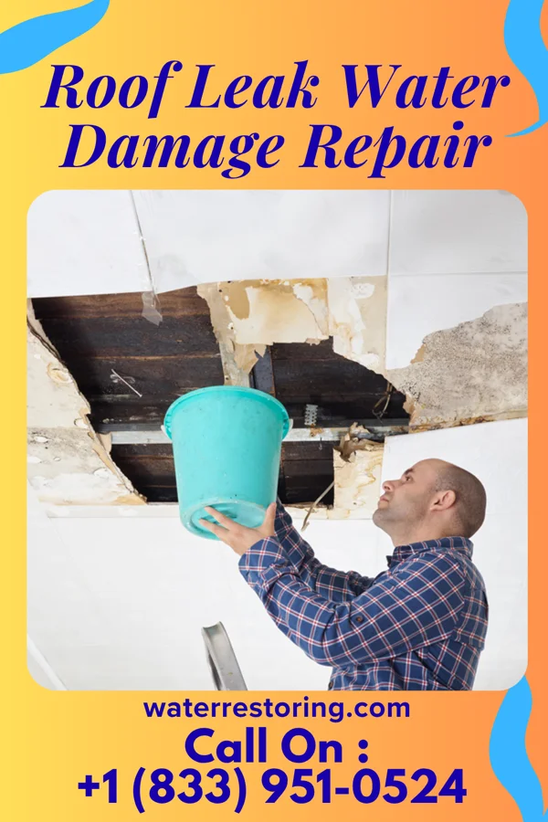 Roof Leak Water Damage Repair in Brooklawn, NJ