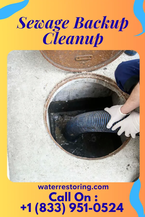 Sewage Backup Cleanup in Brooklawn, NJ